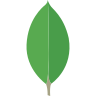 Skill Icon
